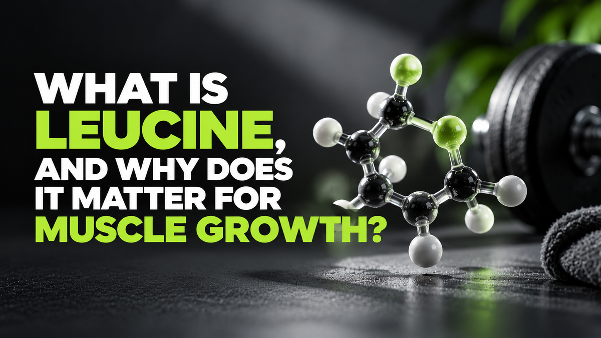 What Is Leucine, and Why Does It Matter for Muscle Growth?