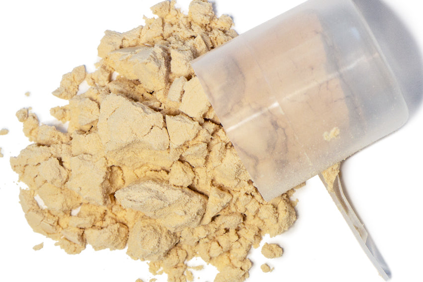 Behind the scenes at SFH