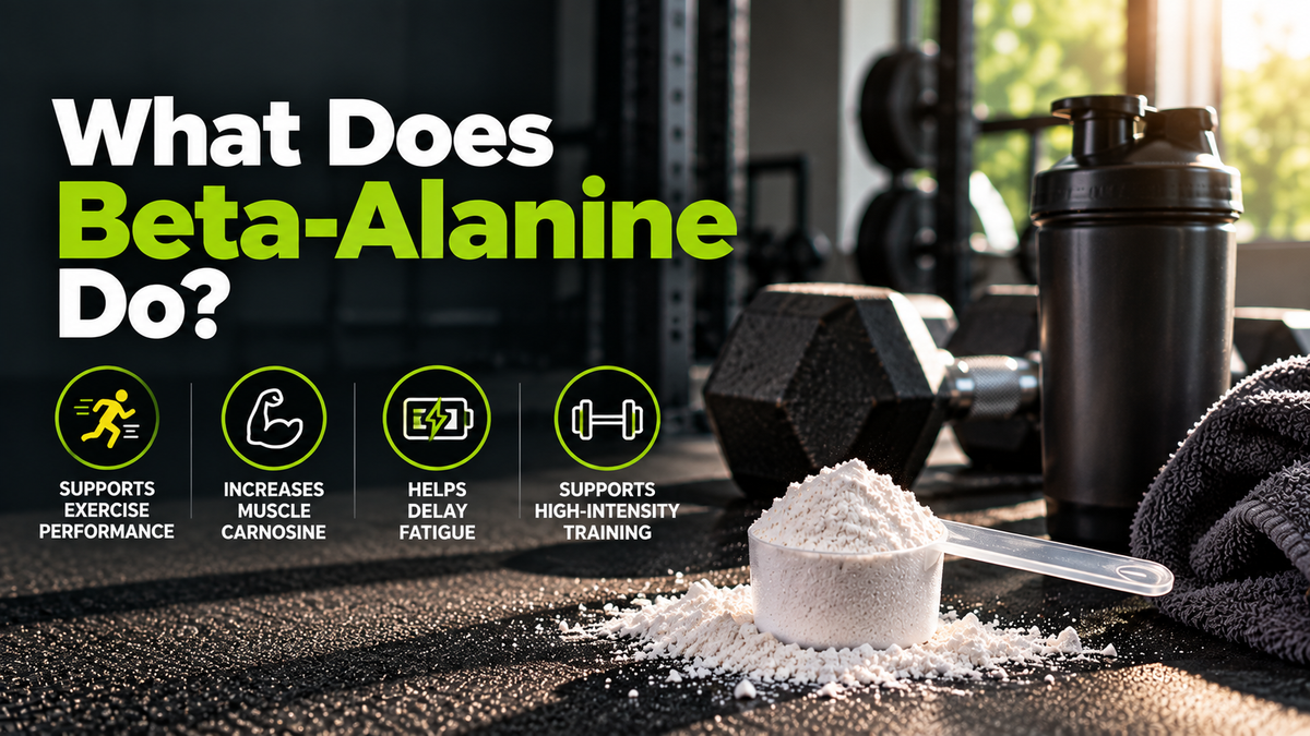 What Does Beta-Alanine Do
