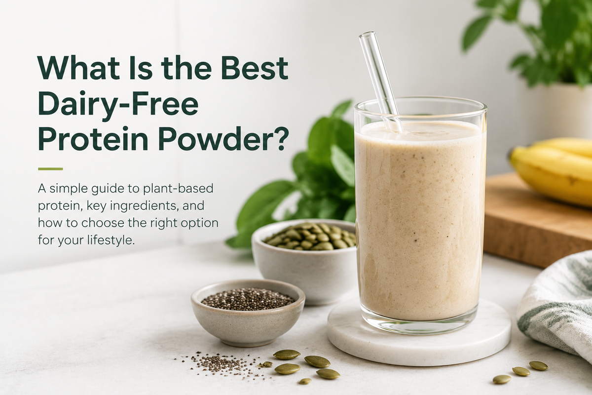 What Is the Best Dairy-Free Protein Powder