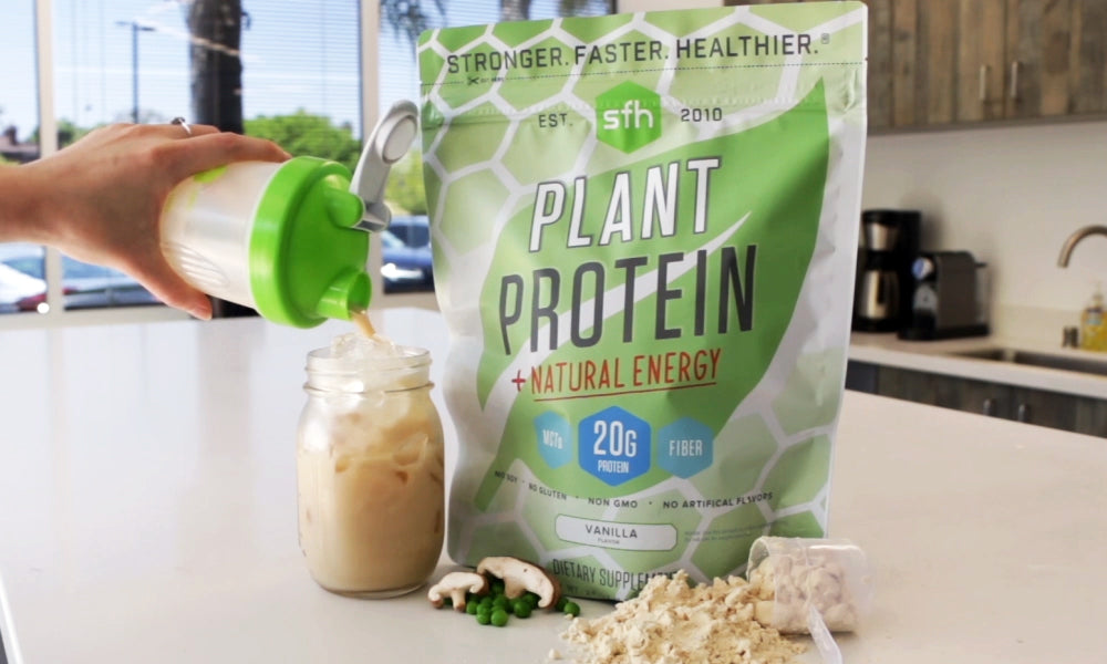 Plant Protein 101