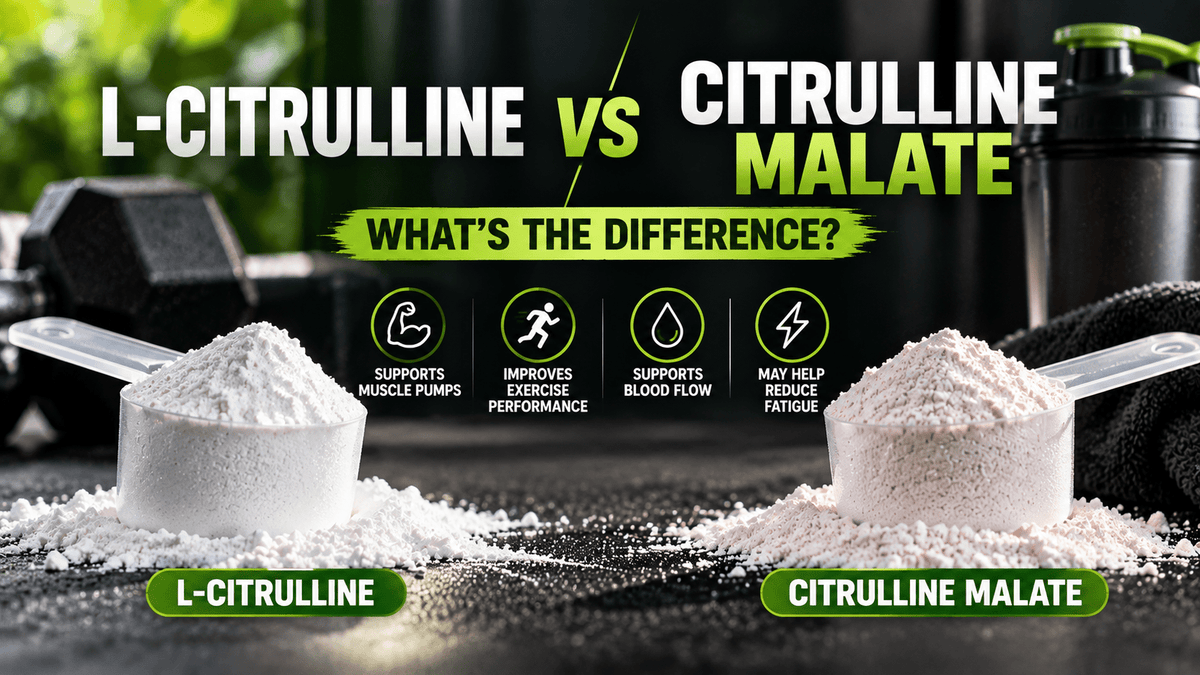 L-Citrulline vs Citrulline Malate What’s the Difference