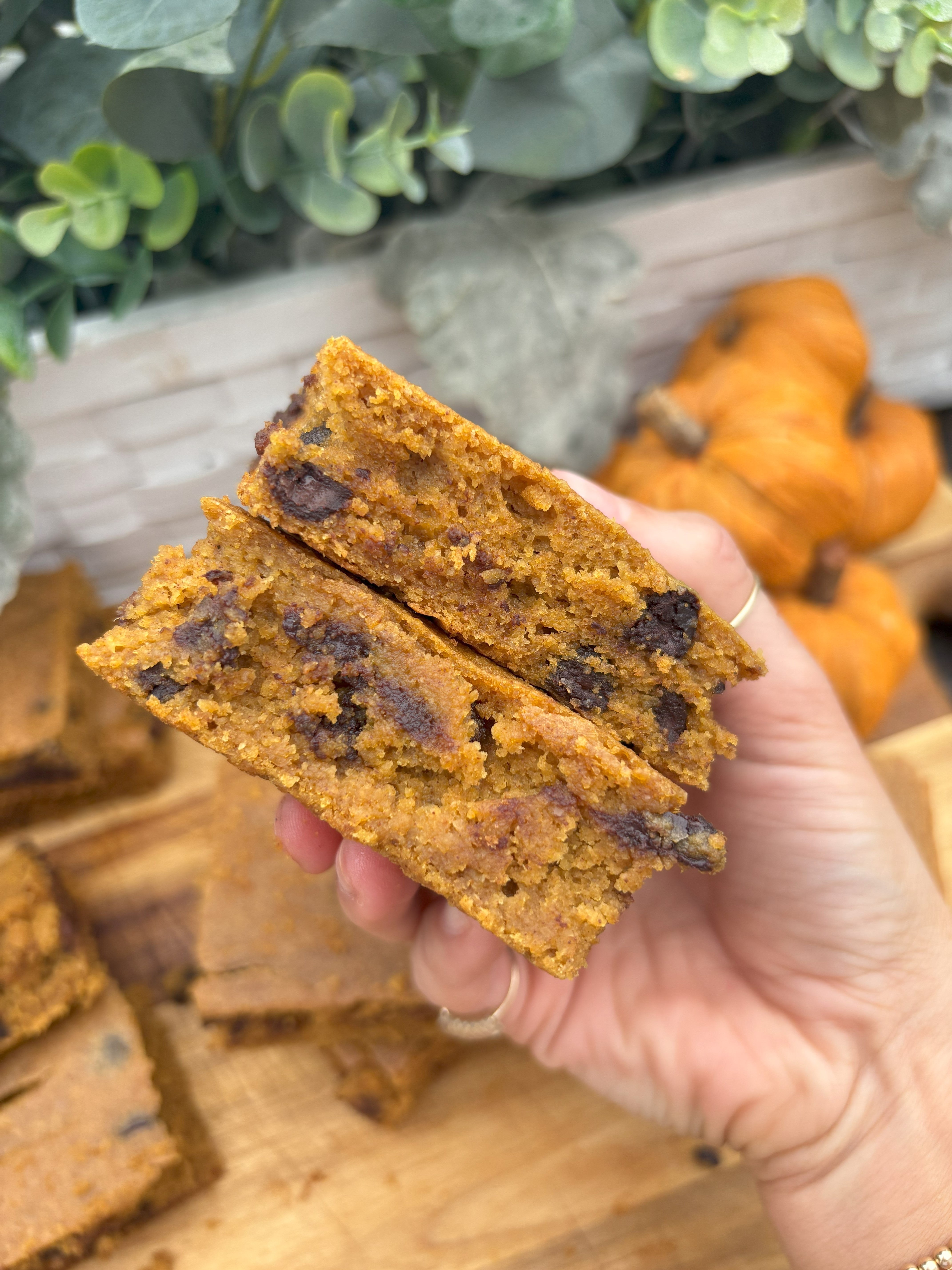 Pumpkin Chocolate Protein