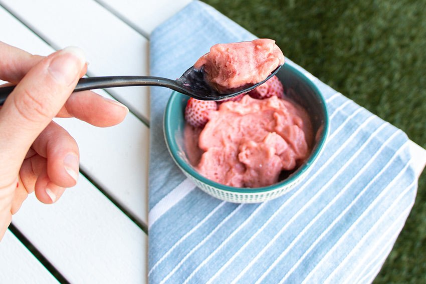 We All Scream For Ice Cream!