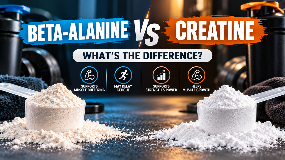 Beta-Alanine vs Creatine: What’s the Difference