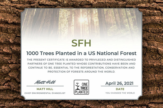We Donated 1,000 Trees For Earth Week!