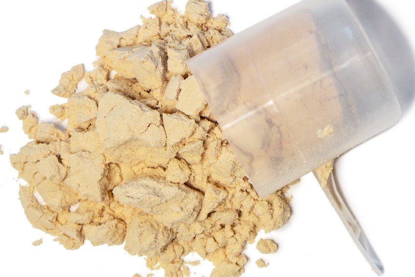 Behind the scenes at SFH