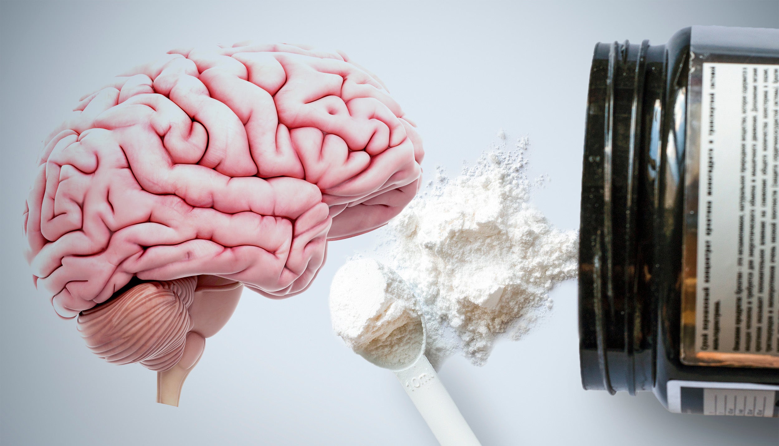 Creatine and Your Brain - What's The Relationship?