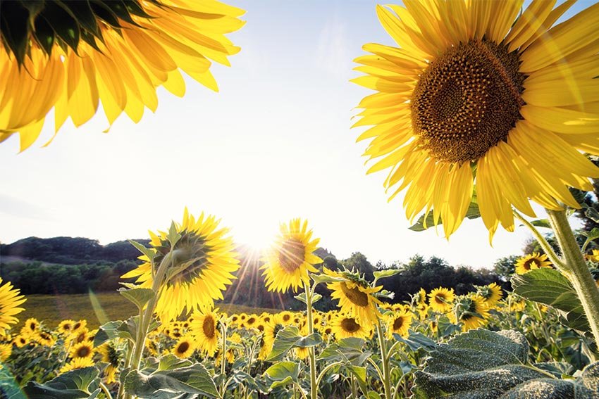 Ways To Get Vitamin D In The Winter