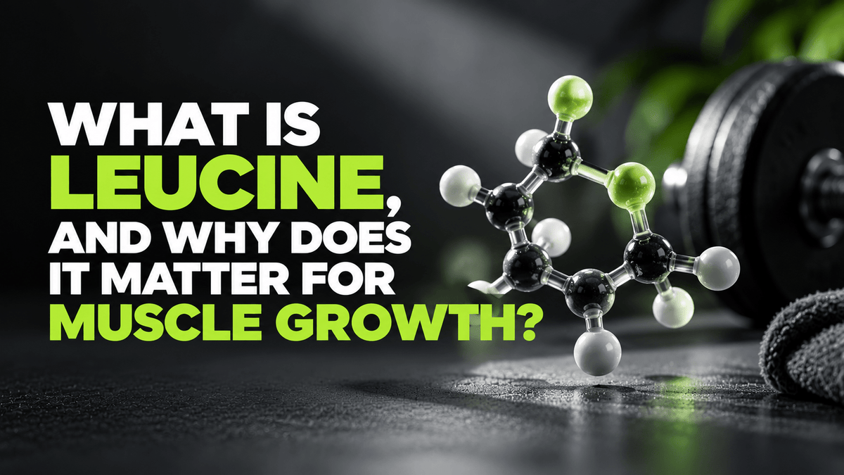 What Is Leucine, and Why Does It Matter for Muscle Growth?