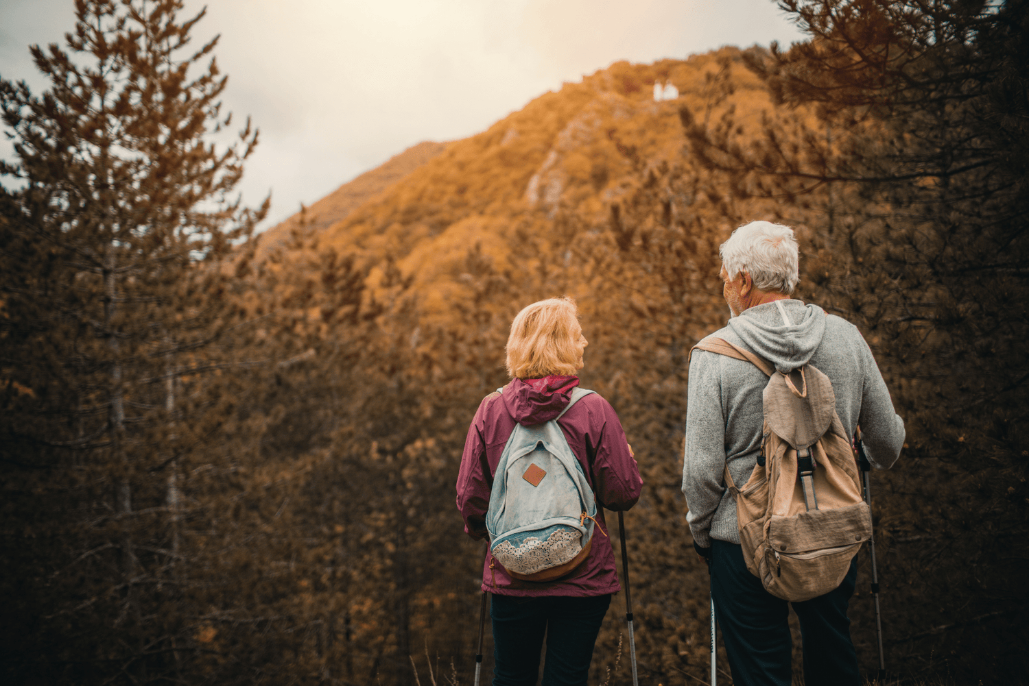 What to Look for in a Supplement for Healthy Aging